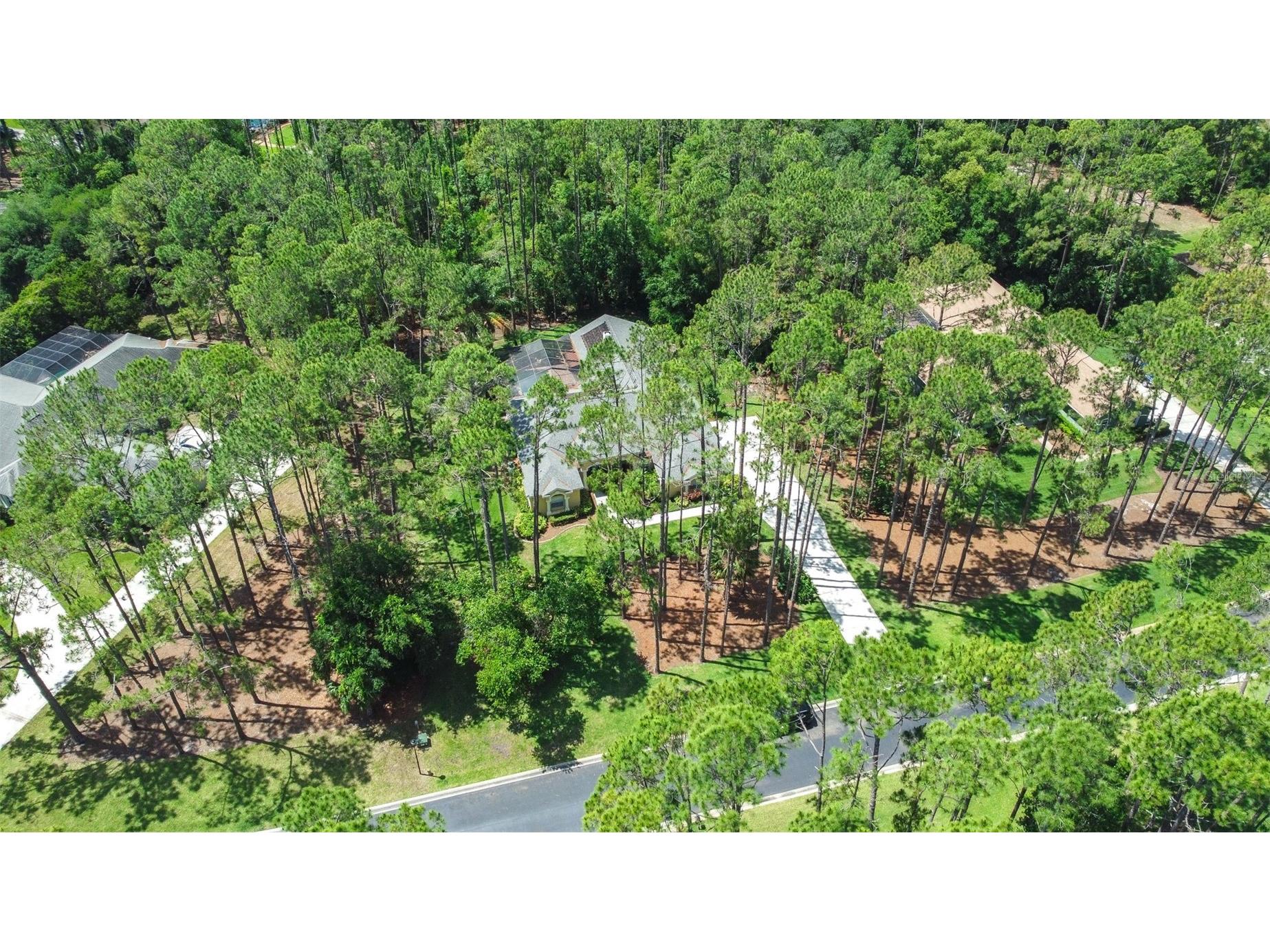 313 Pine Bluff Drive Lutz FL 33549 TB8504865 image71