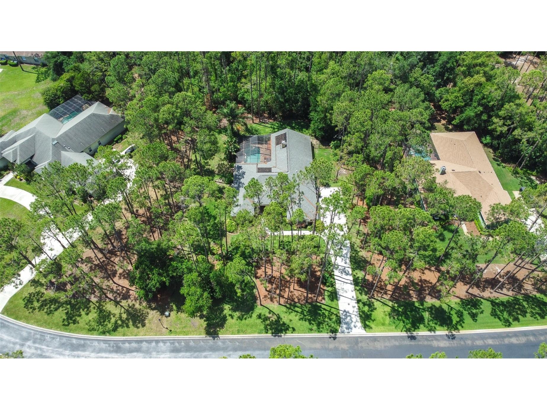 313 Pine Bluff Drive Lutz FL 33549 TB8504865 image72