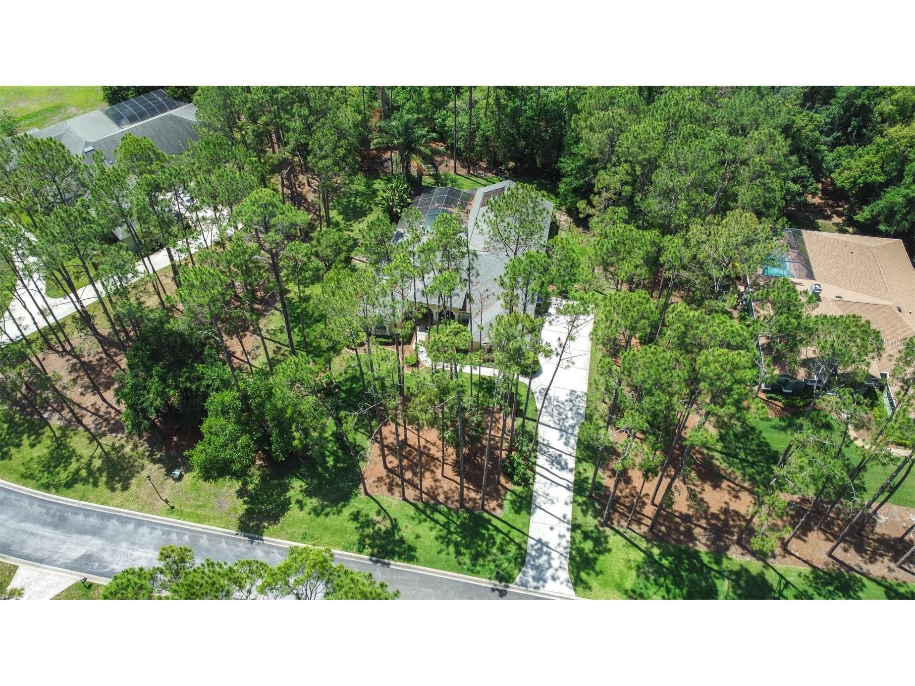 313 Pine Bluff Drive Lutz FL 33549 TB8504865 image73