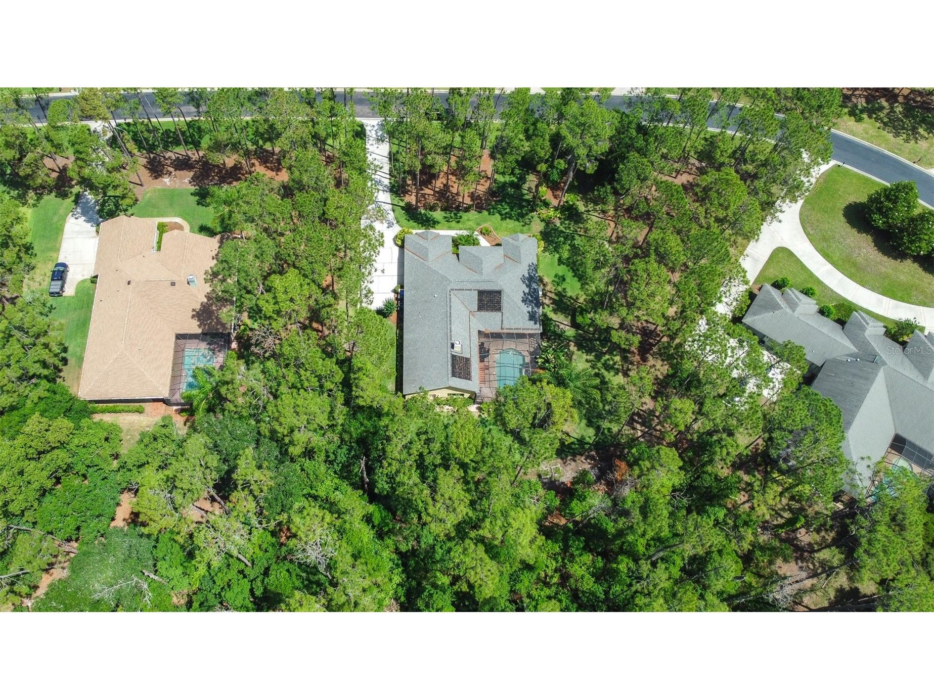 313 Pine Bluff Drive Lutz FL 33549 TB8504865 image74