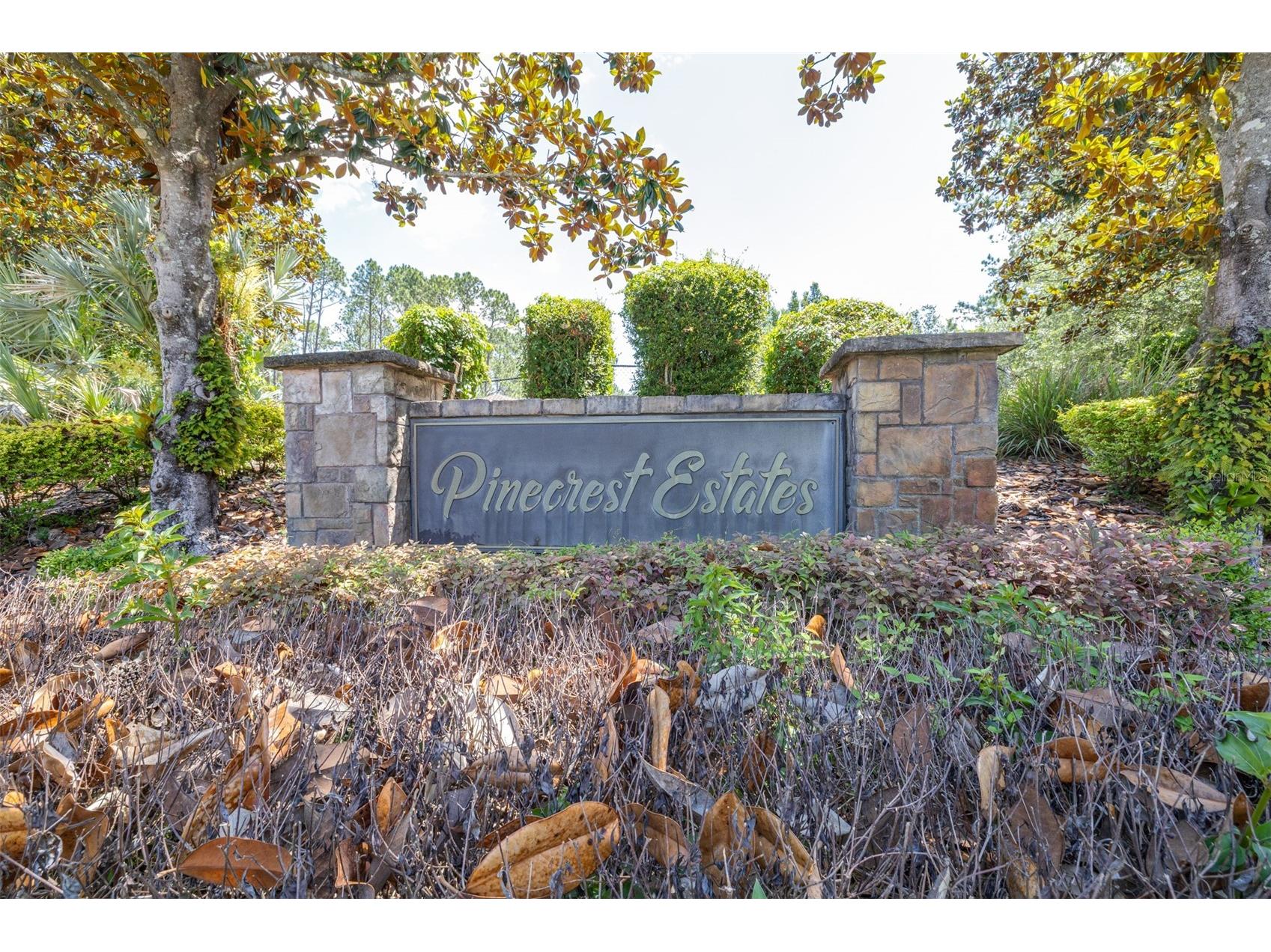313 Pine Bluff Drive Lutz FL 33549 TB8504865 image76