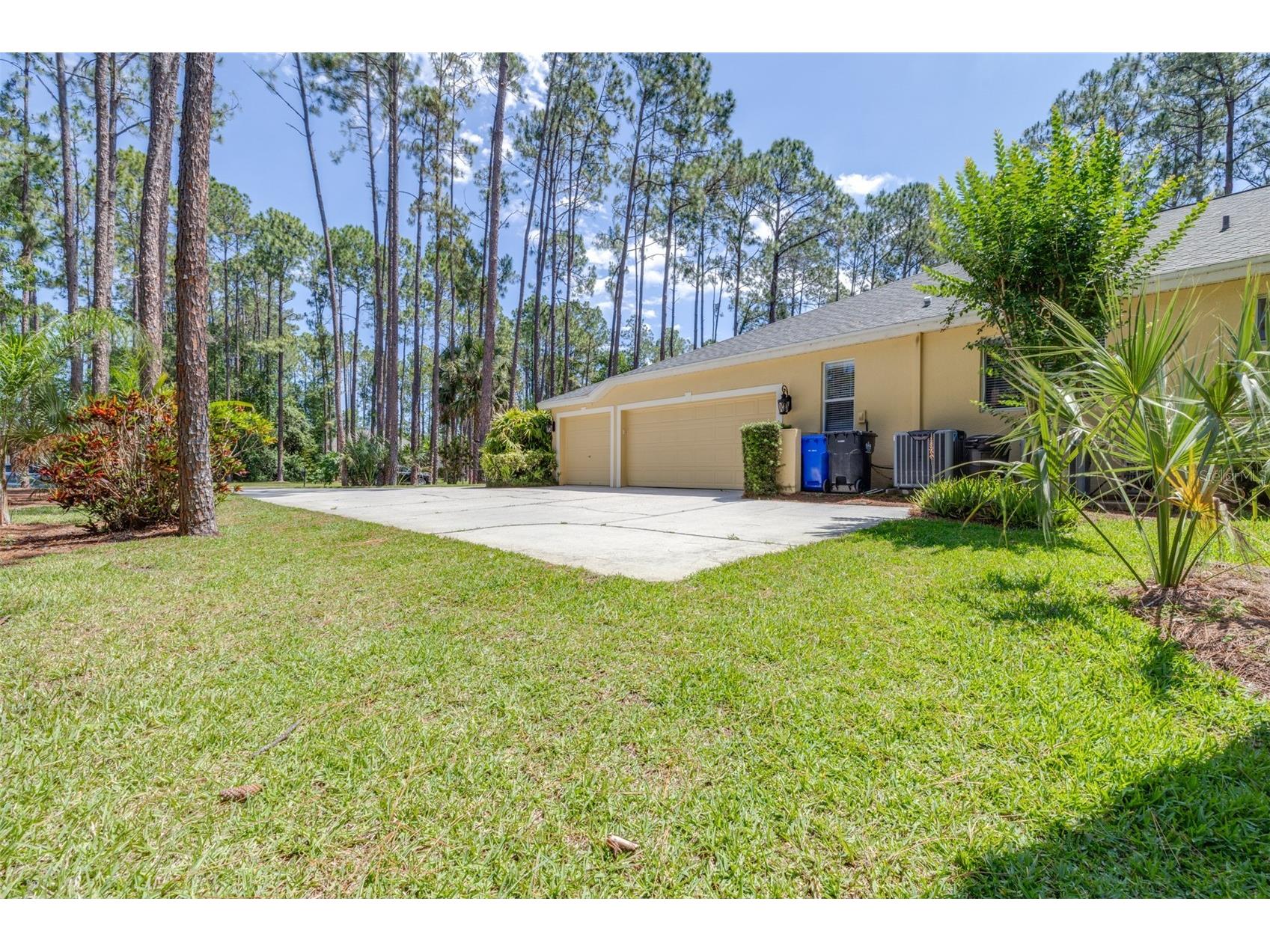 313 Pine Bluff Drive Lutz FL 33549 TB8504865 image8