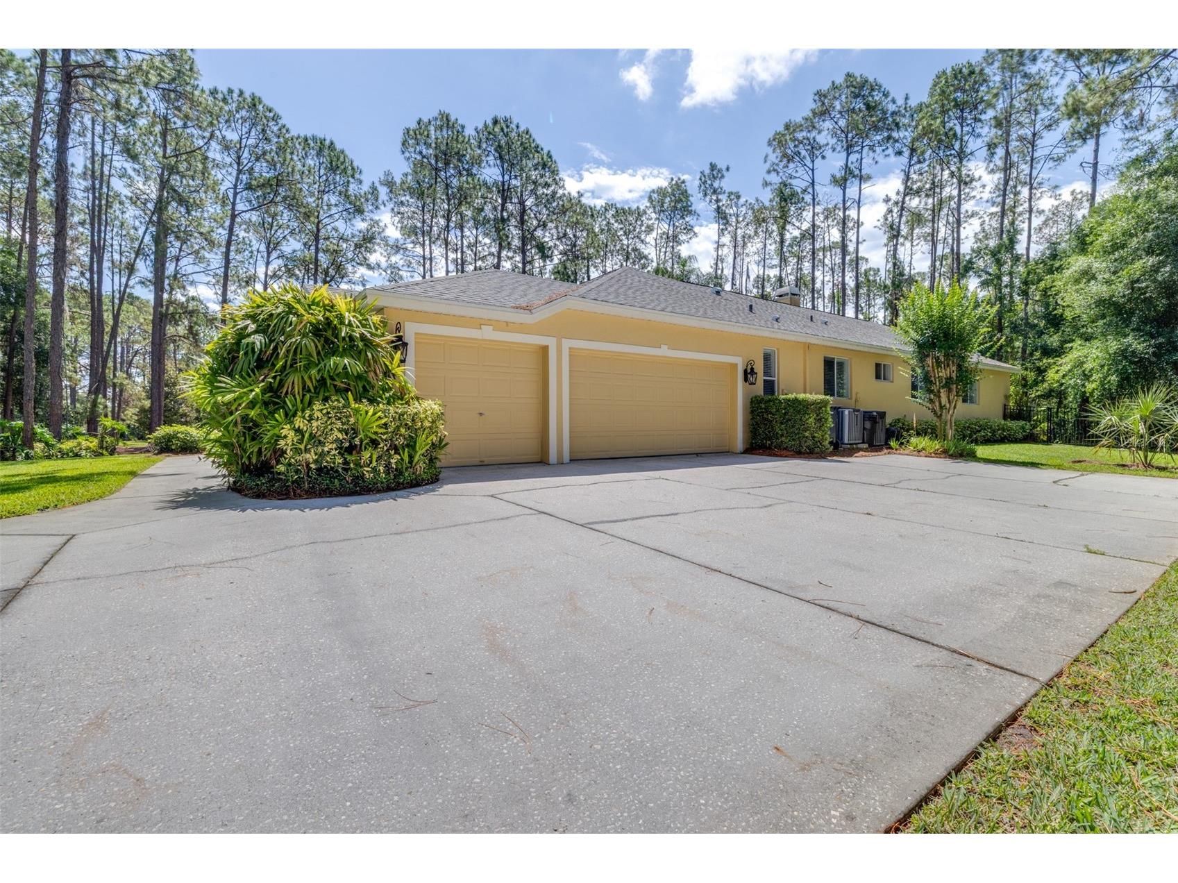 313 Pine Bluff Drive Lutz FL 33549 TB8504865 image9