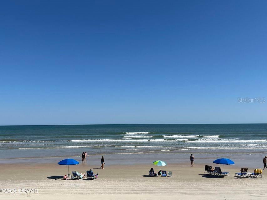 313 S Atlantic Avenue #2050 Daytona Beach FL 32118 - ATLANTIC OCEAN FC314220 image9