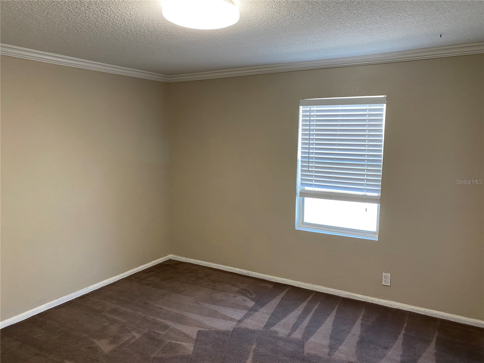 313 S Observatory Drive Orlando FL 32835 O6413628 image7