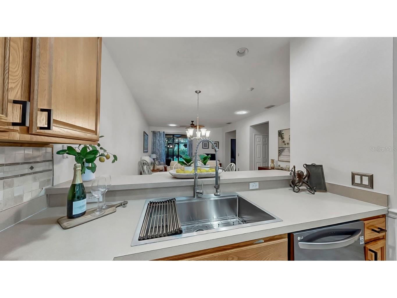 313 Seneca Falls Drive Apollo Beach FL 33572 TB8443684 image16