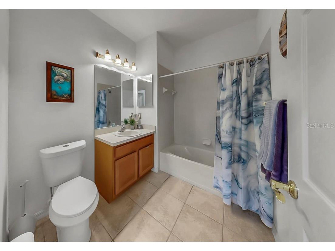 313 Seneca Falls Drive Apollo Beach FL 33572 TB8443684 image35