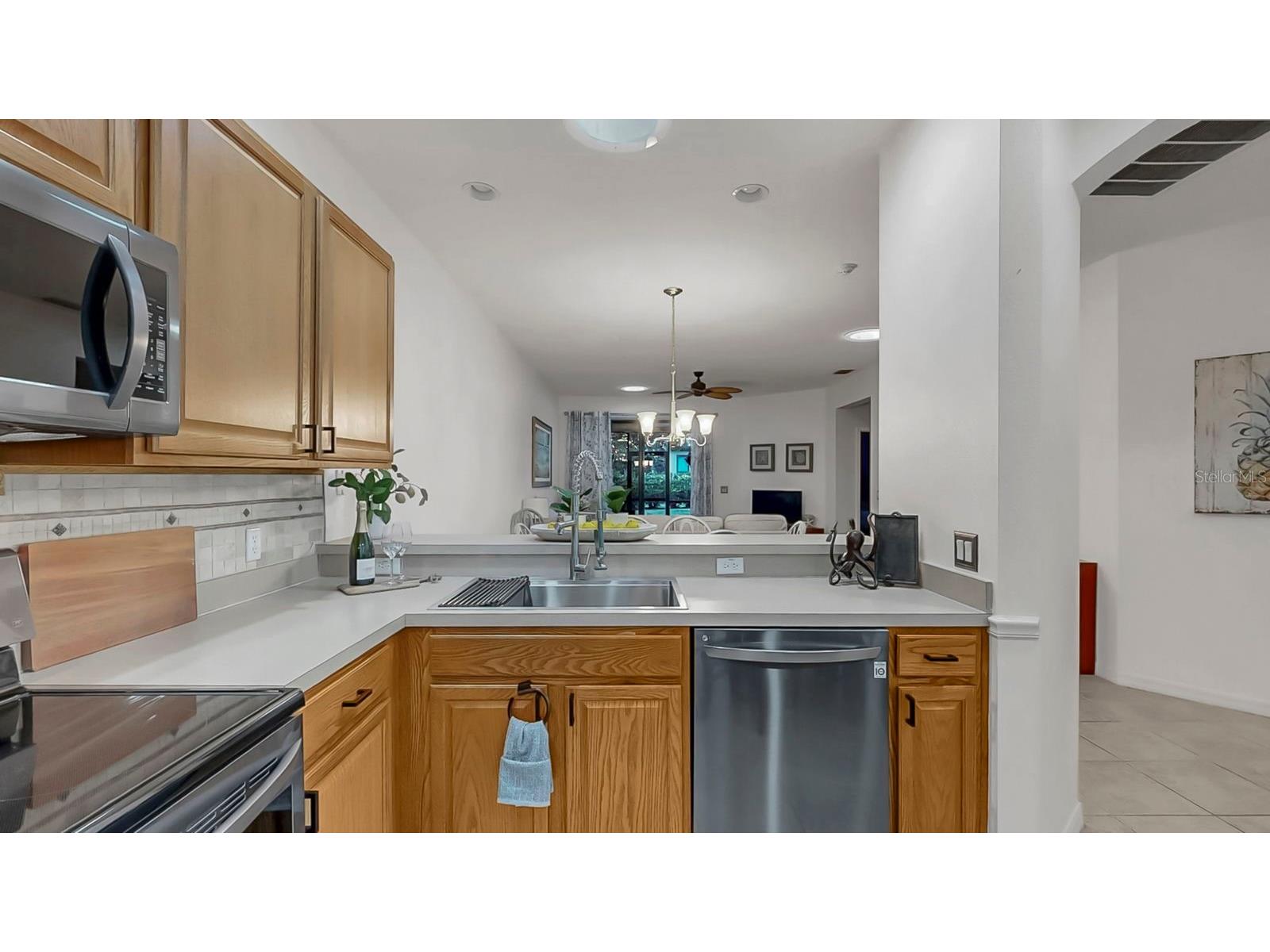 313 Seneca Falls Drive Apollo Beach FL 33572 TB8494342 image10