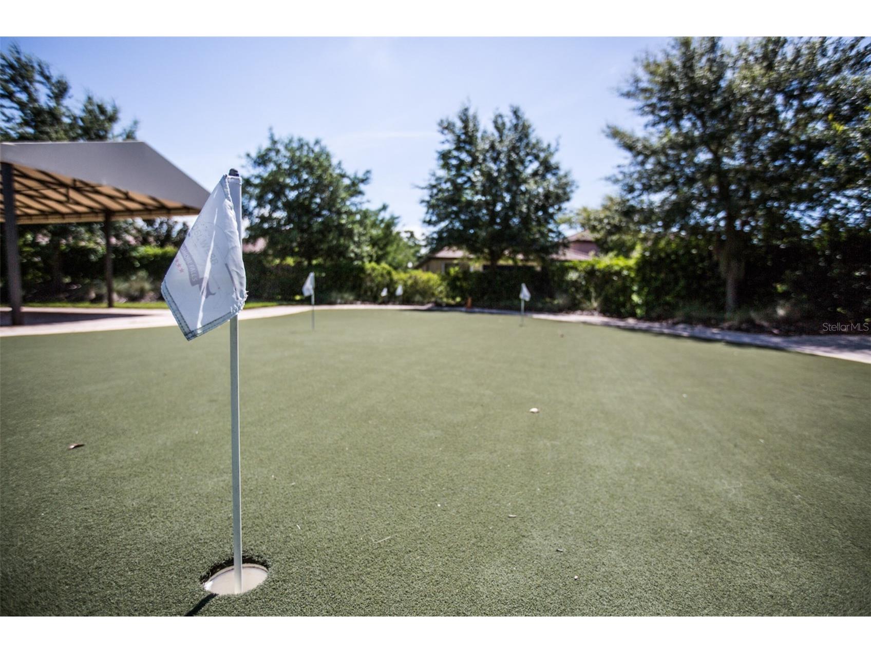 313 Seneca Falls Drive Apollo Beach FL 33572 TB8494342 image45