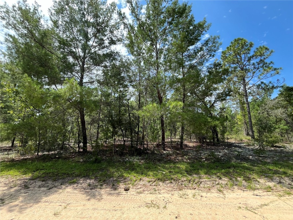 313 Shangri-La Street Interlachen FL 32148 OK224289 image1