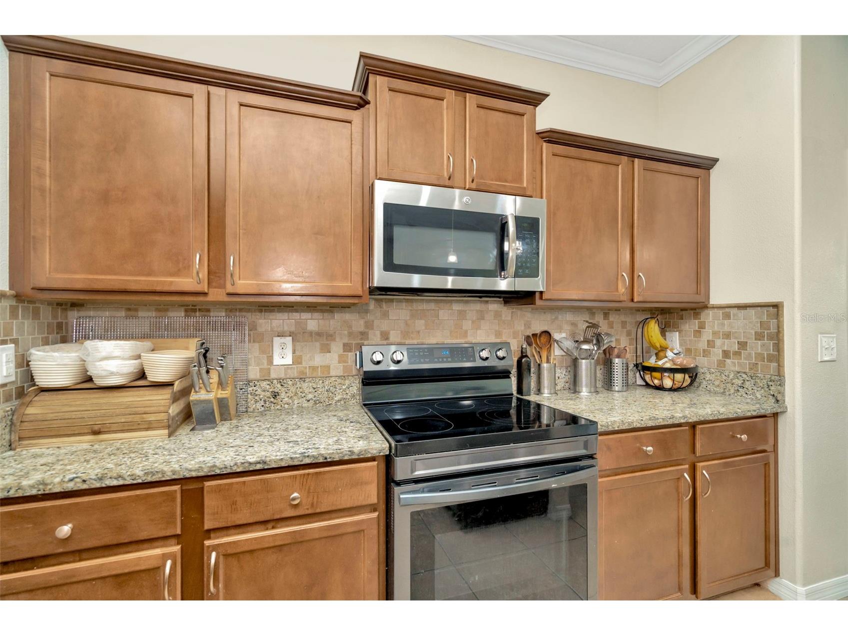 313 Shell Manor Drive Ruskin FL 33570 TB8482224 image10