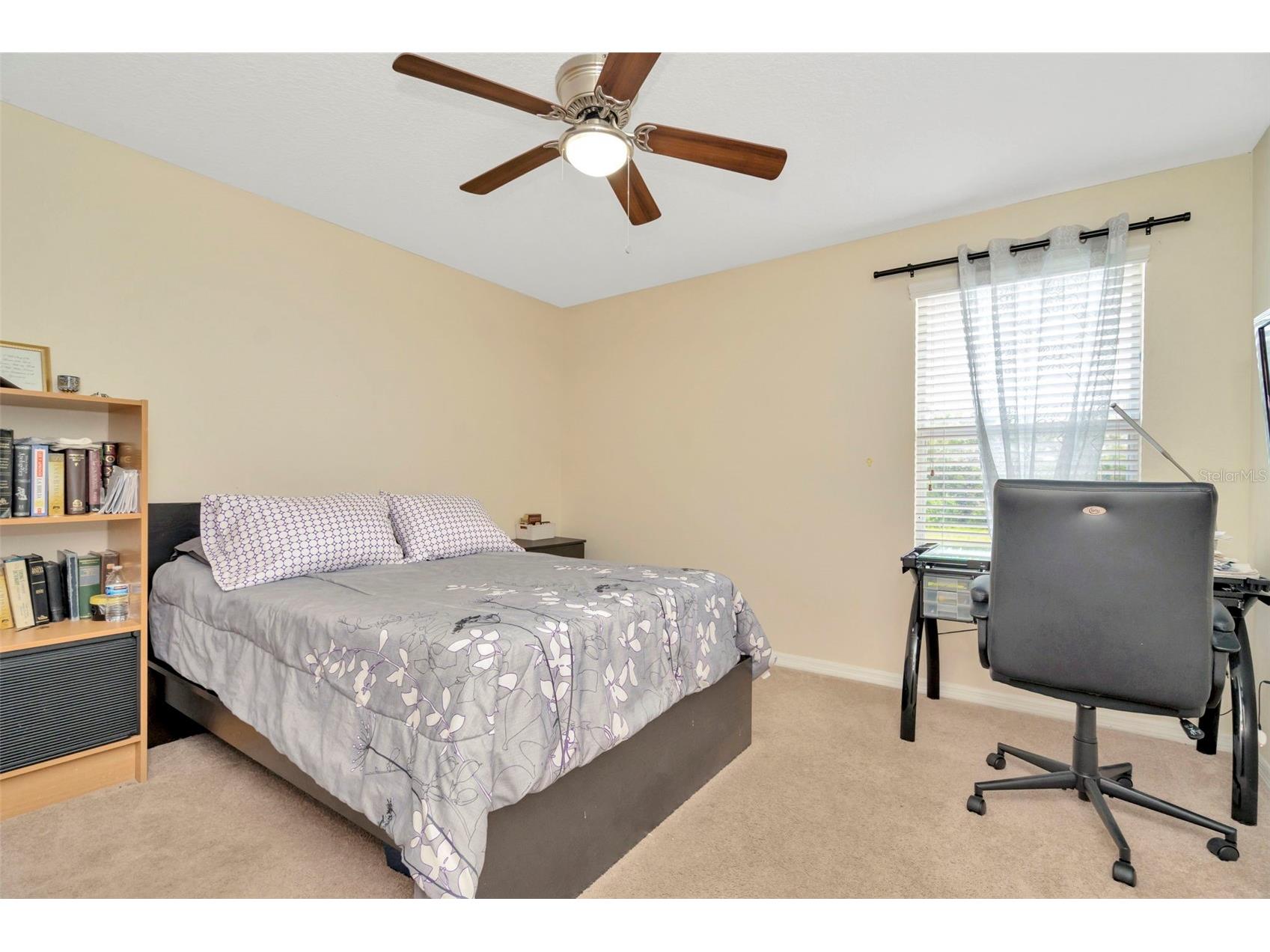 313 Shell Manor Drive Ruskin FL 33570 TB8482224 image24