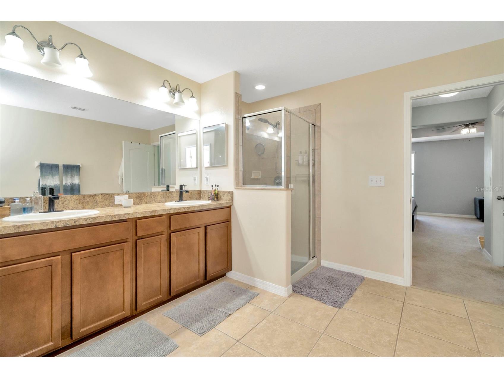 313 Shell Manor Drive Ruskin FL 33570 TB8482224 image29