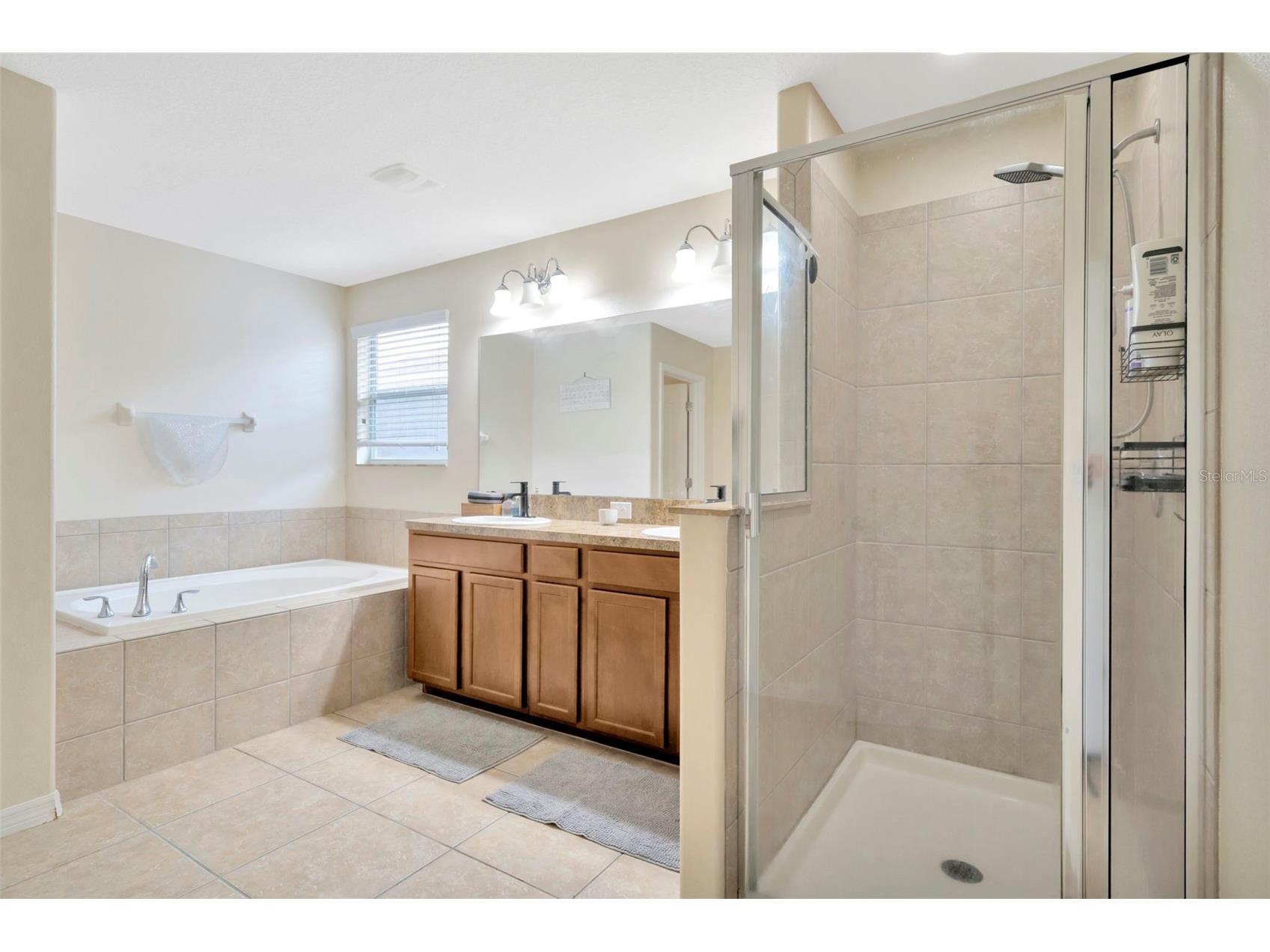 313 Shell Manor Drive Ruskin FL 33570 TB8482224 image30