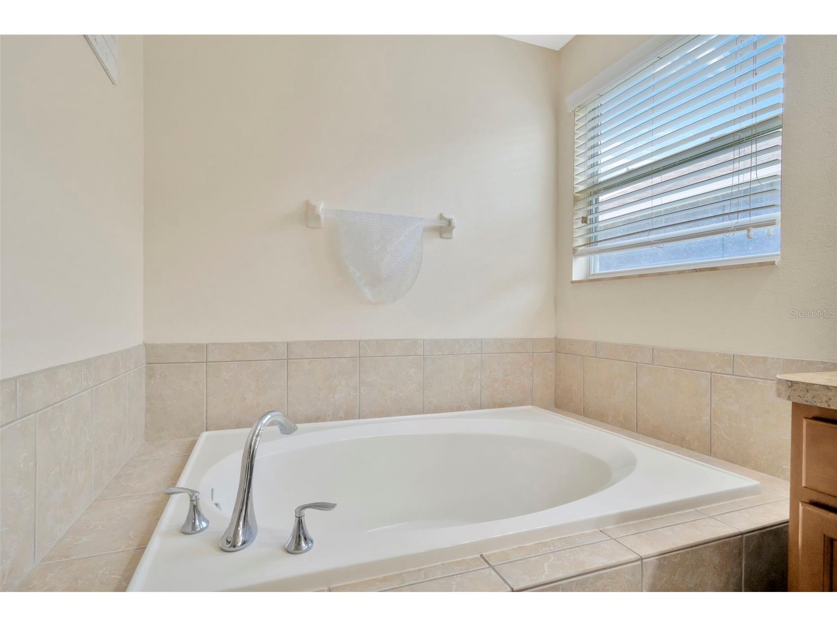 313 Shell Manor Drive Ruskin FL 33570 TB8482224 image31