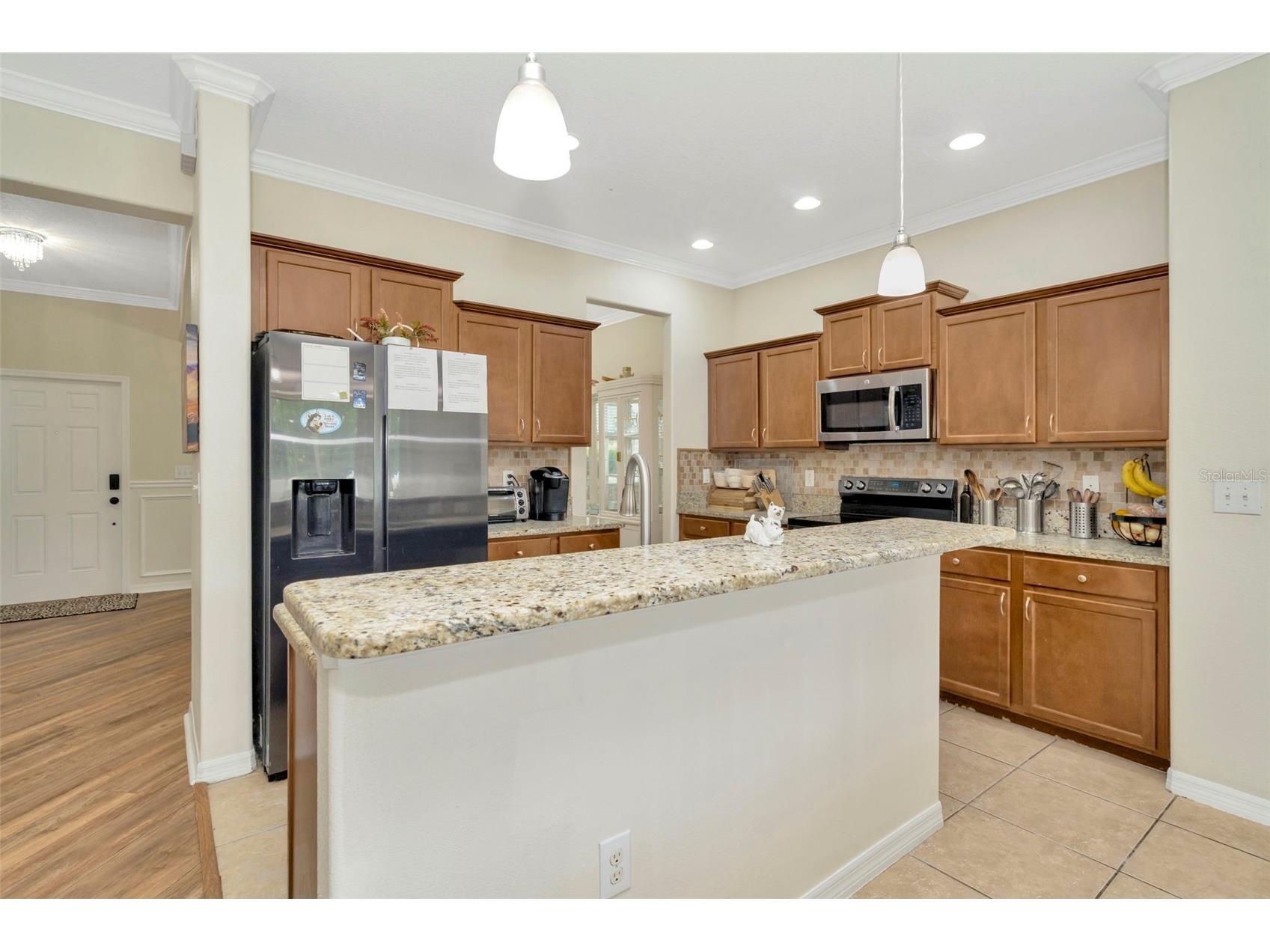 313 Shell Manor Drive Ruskin FL 33570 TB8482224 image7