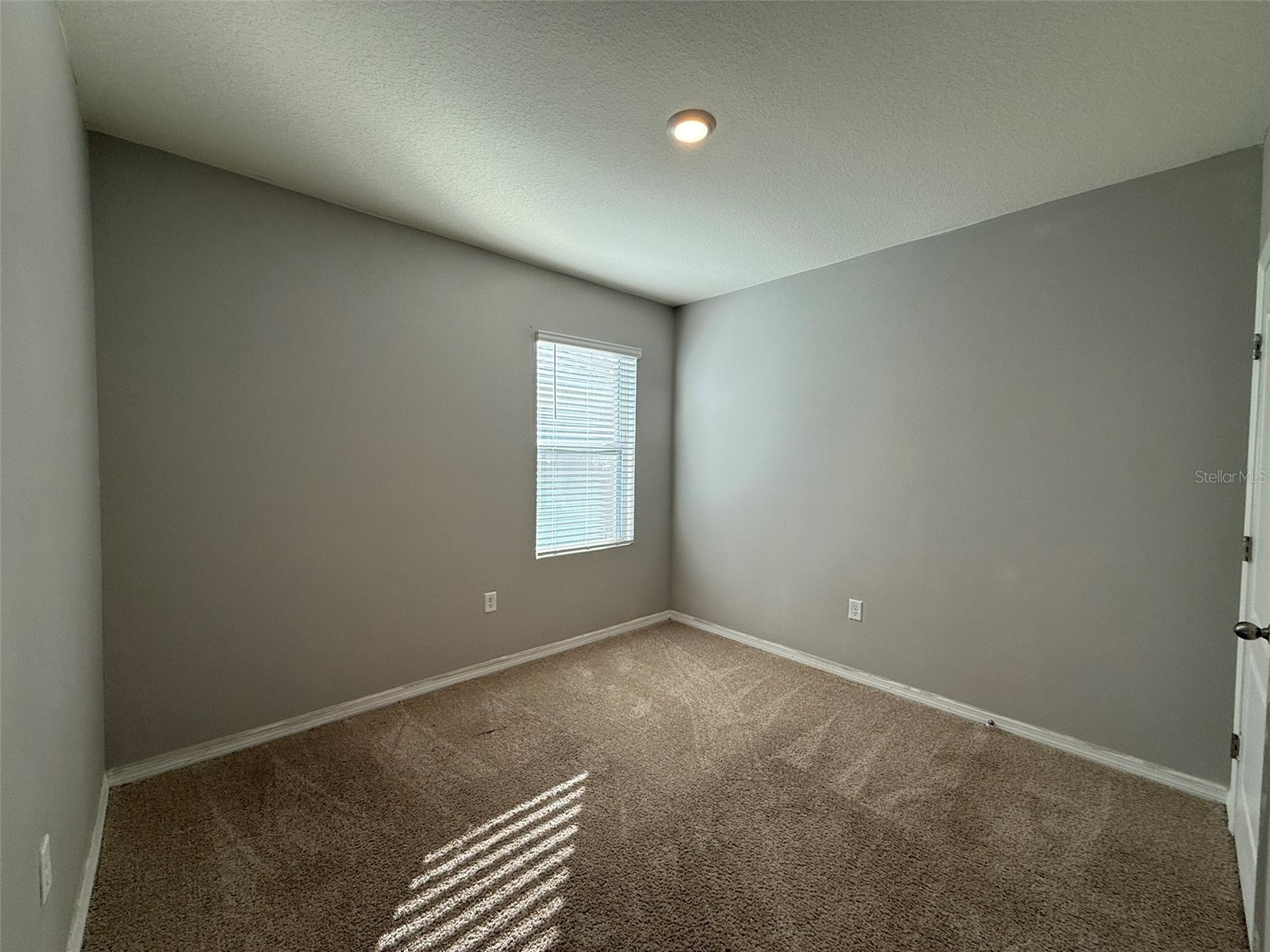 313 Sofia Lane Lake Alfred FL 33850 L4958487 image21