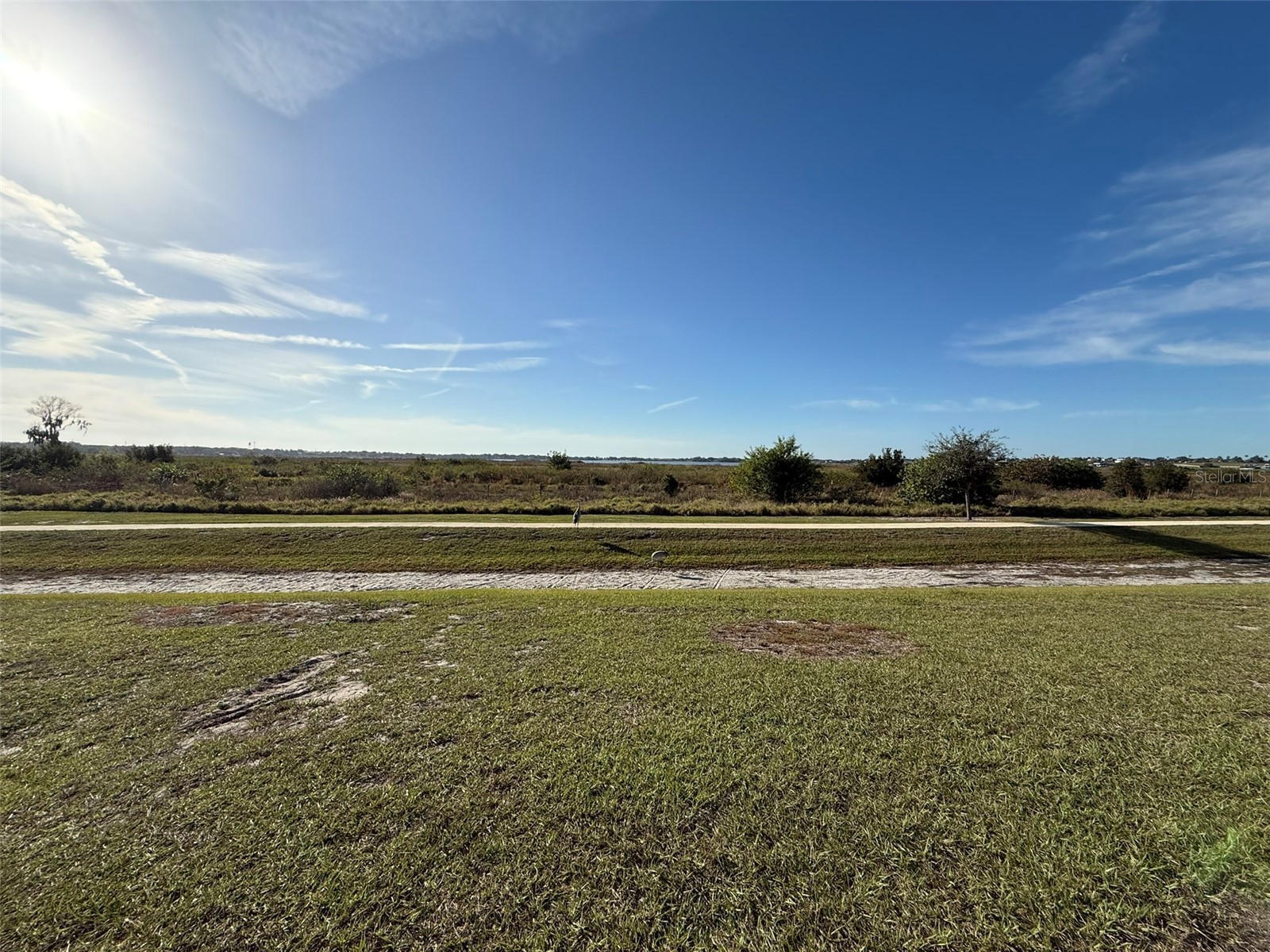 313 Sofia Lane Lake Alfred FL 33850 L4958487 image27