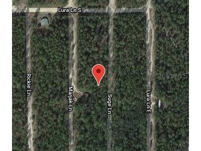 313 Suge Lane Florahome FL 32140 OM631096 image2