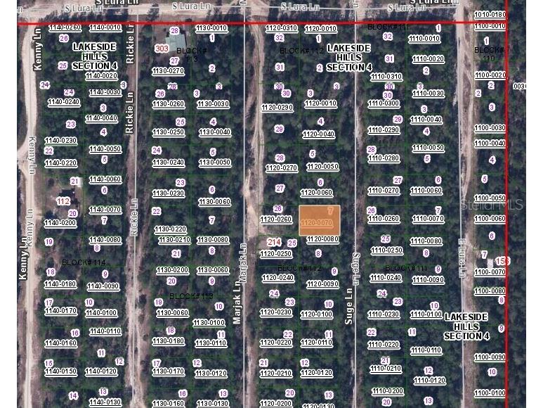 313 Suge Lane Florahome FL 32140 OM631096 image3