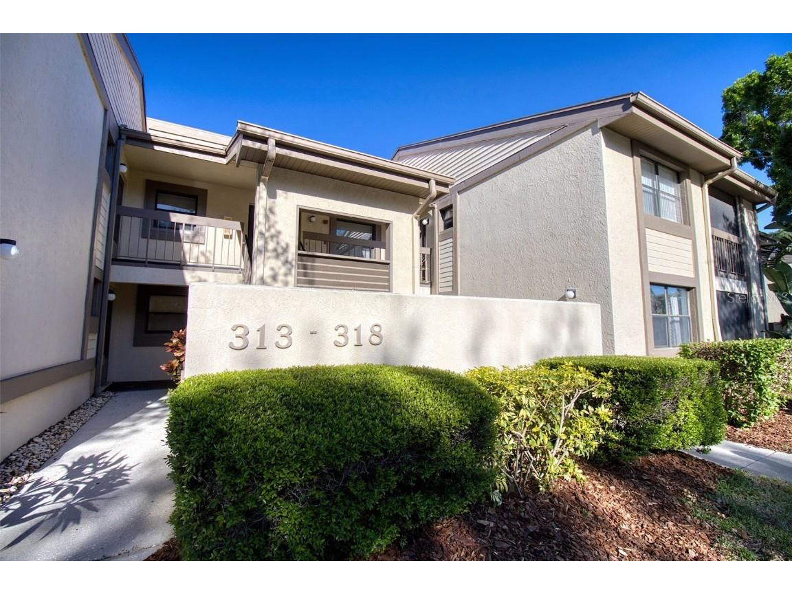 313 Woodlake Wynde #3 Oldsmar FL 34677 T3515583 image1