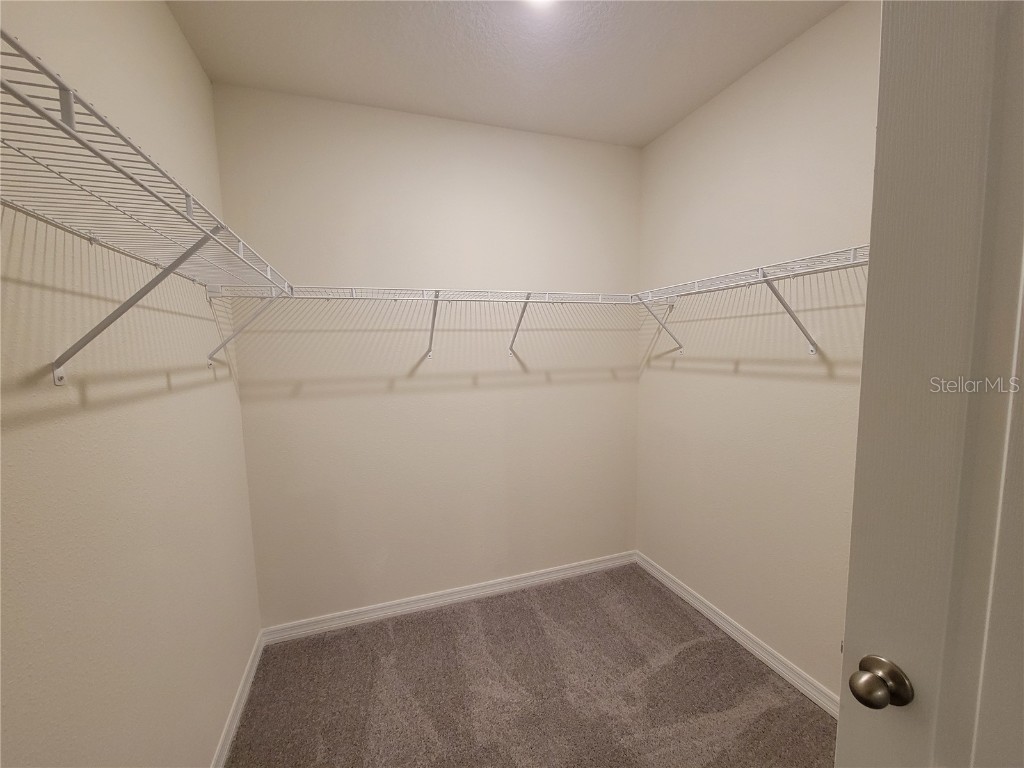 3130 Blue Crab Drive Tavares FL 32778 O6363316 image10