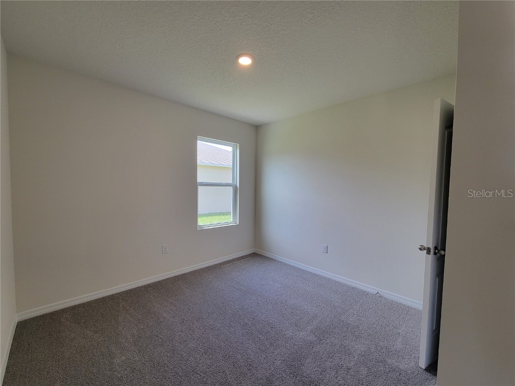 3130 Blue Crab Drive Tavares FL 32778 O6363316 image13