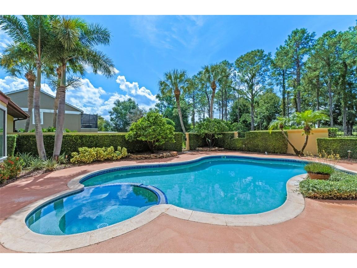 3130 Butler Bay Drive N Windermere FL 34786 O6344707 image51