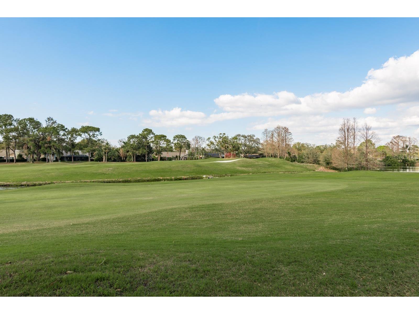 3130 Eagles Landing Circle W Clearwater FL 33761 TB8490462 image39