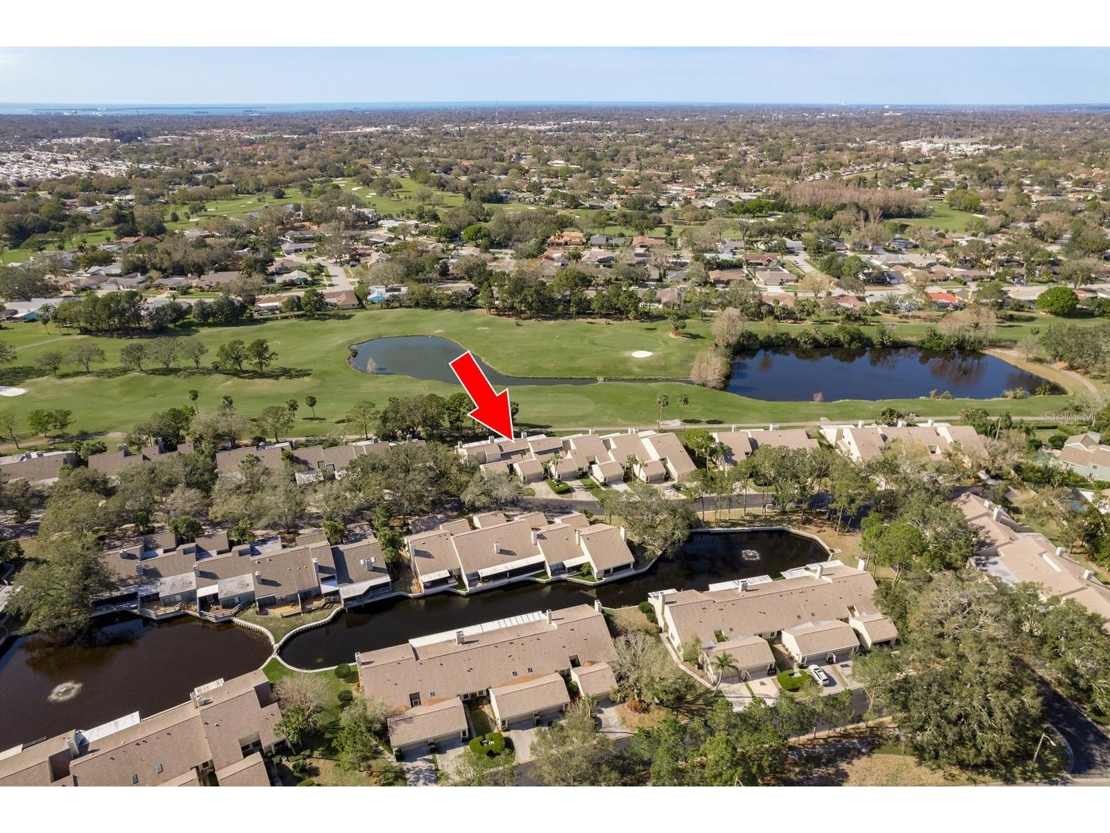 3130 Eagles Landing Circle W Clearwater FL 33761 TB8490462 image44