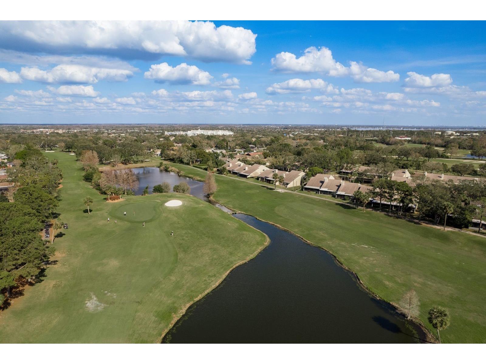 3130 Eagles Landing Circle W Clearwater FL 33761 TB8490462 image62