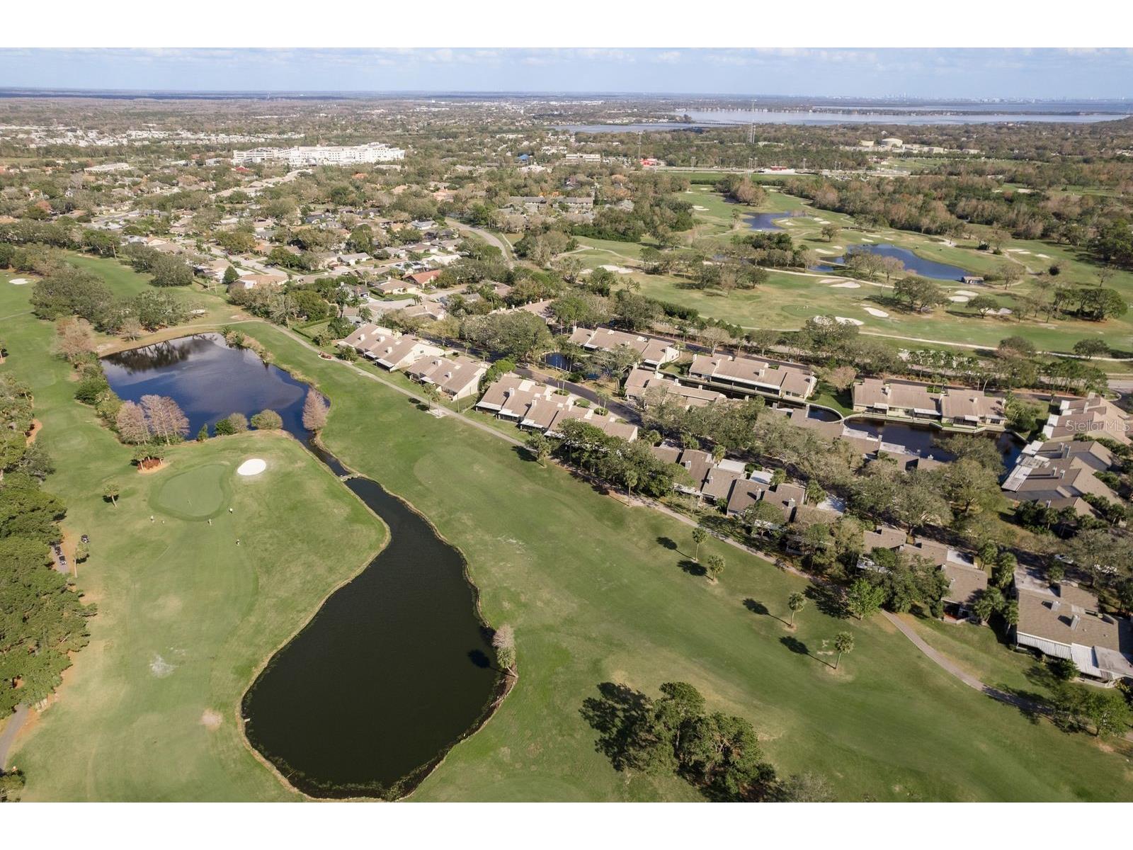 3130 Eagles Landing Circle W Clearwater FL 33761 TB8490462 image63
