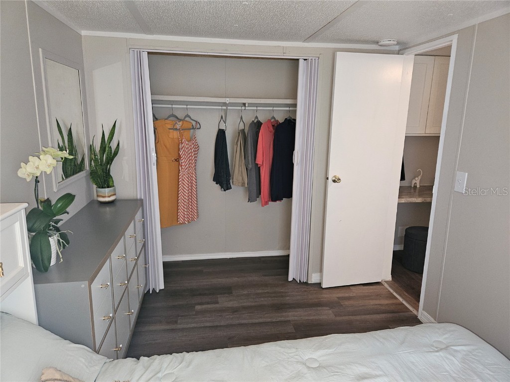 3130 Great Oak Street Wesley Chapel FL 33543 TB8436515 image15