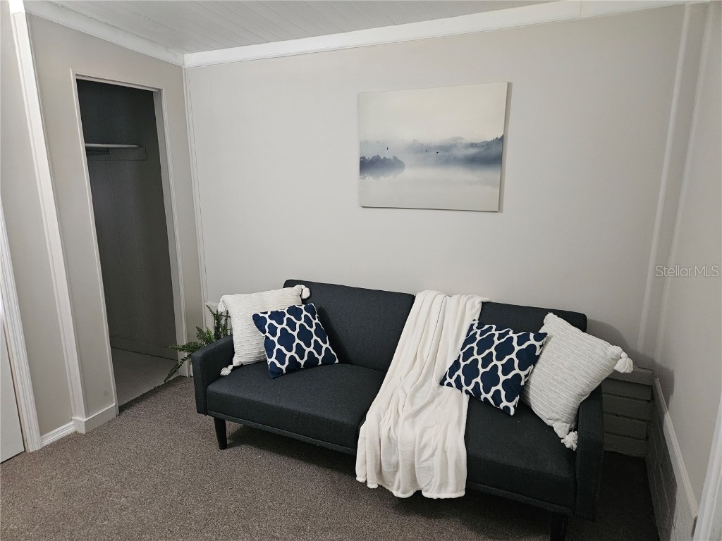 3130 Great Oak Street Wesley Chapel FL 33543 TB8436515 image23