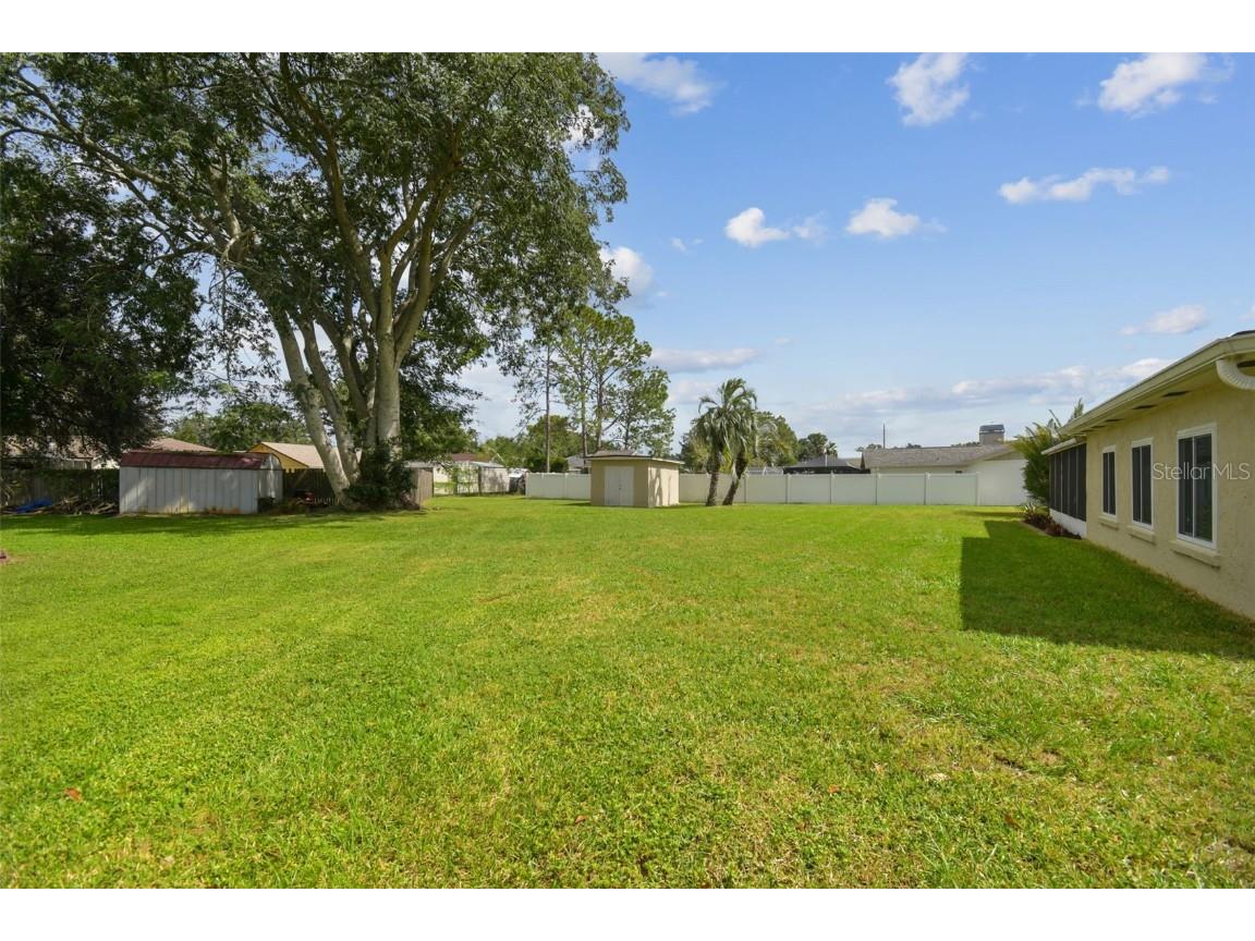 3130 Lake Saxon Drive Land O Lakes FL 34639 W7879705 image30