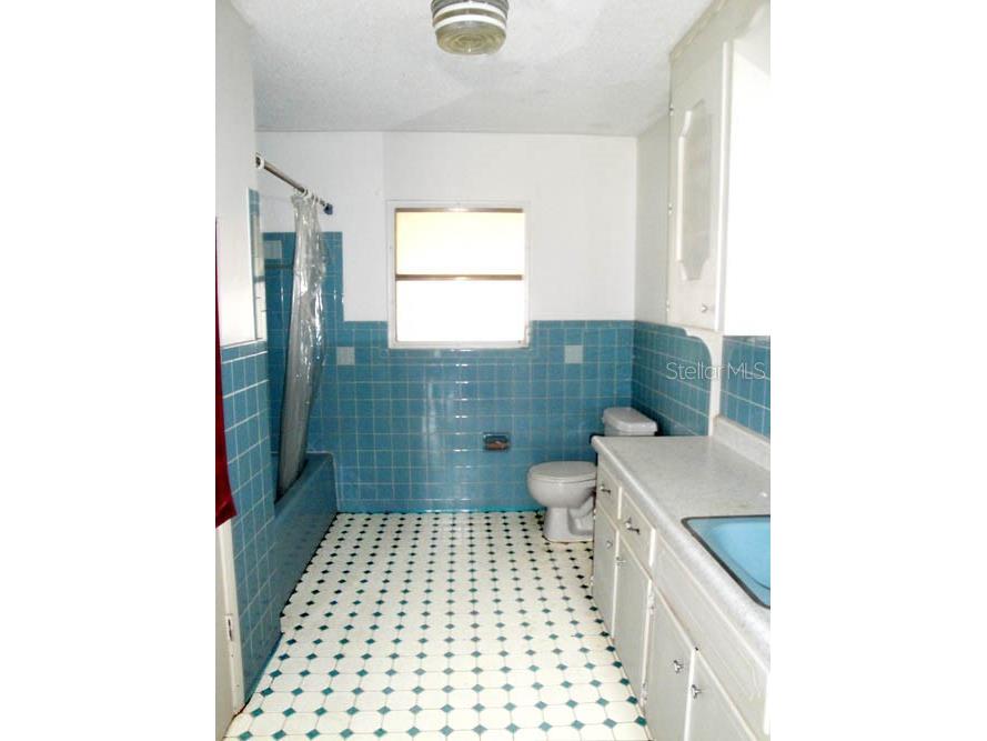 3130 NE 7th Lane Ocala FL 34470 OM715622 image5