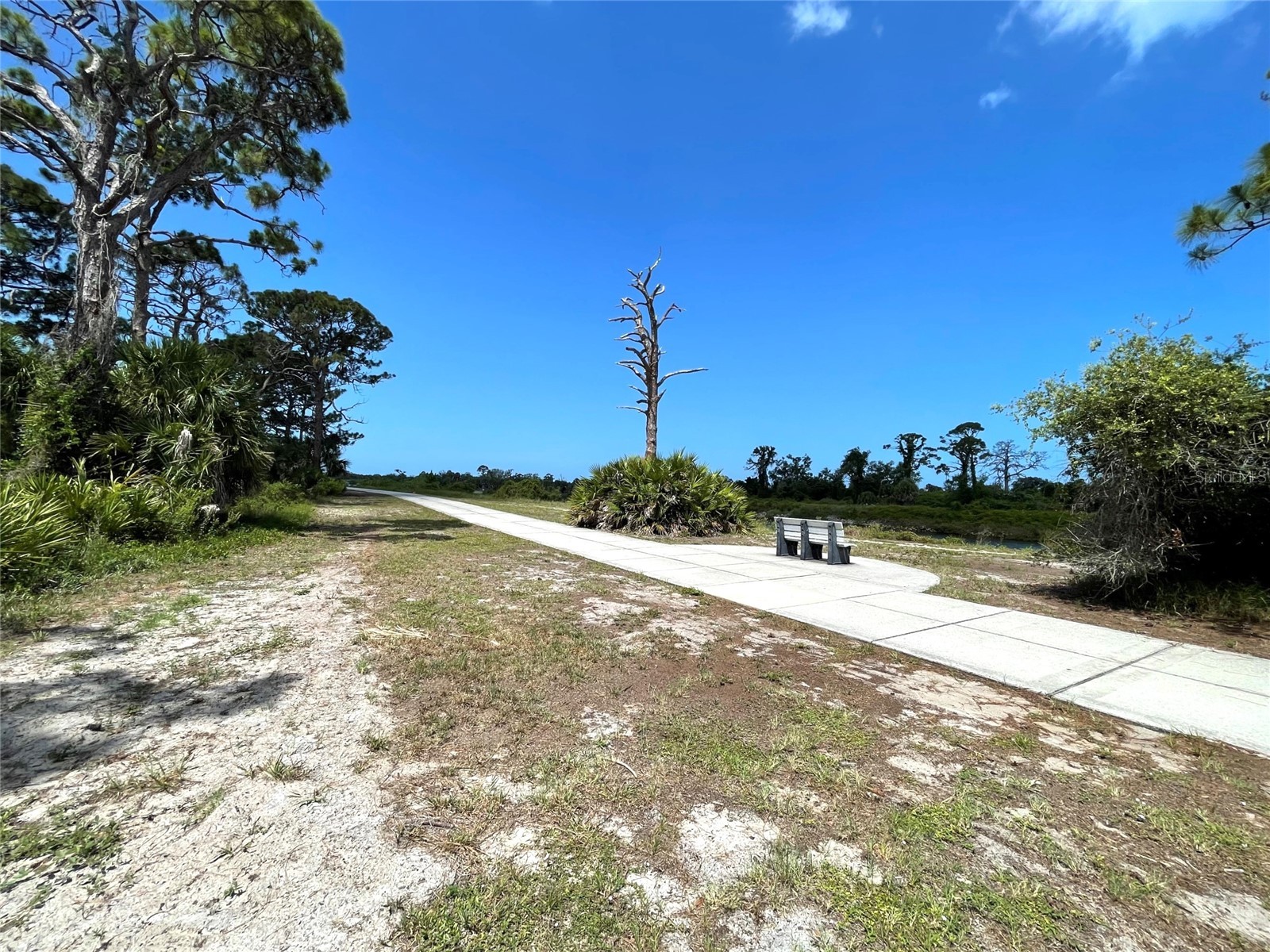 3130 Ocala Road Venice FL 34293 A4699256 image26
