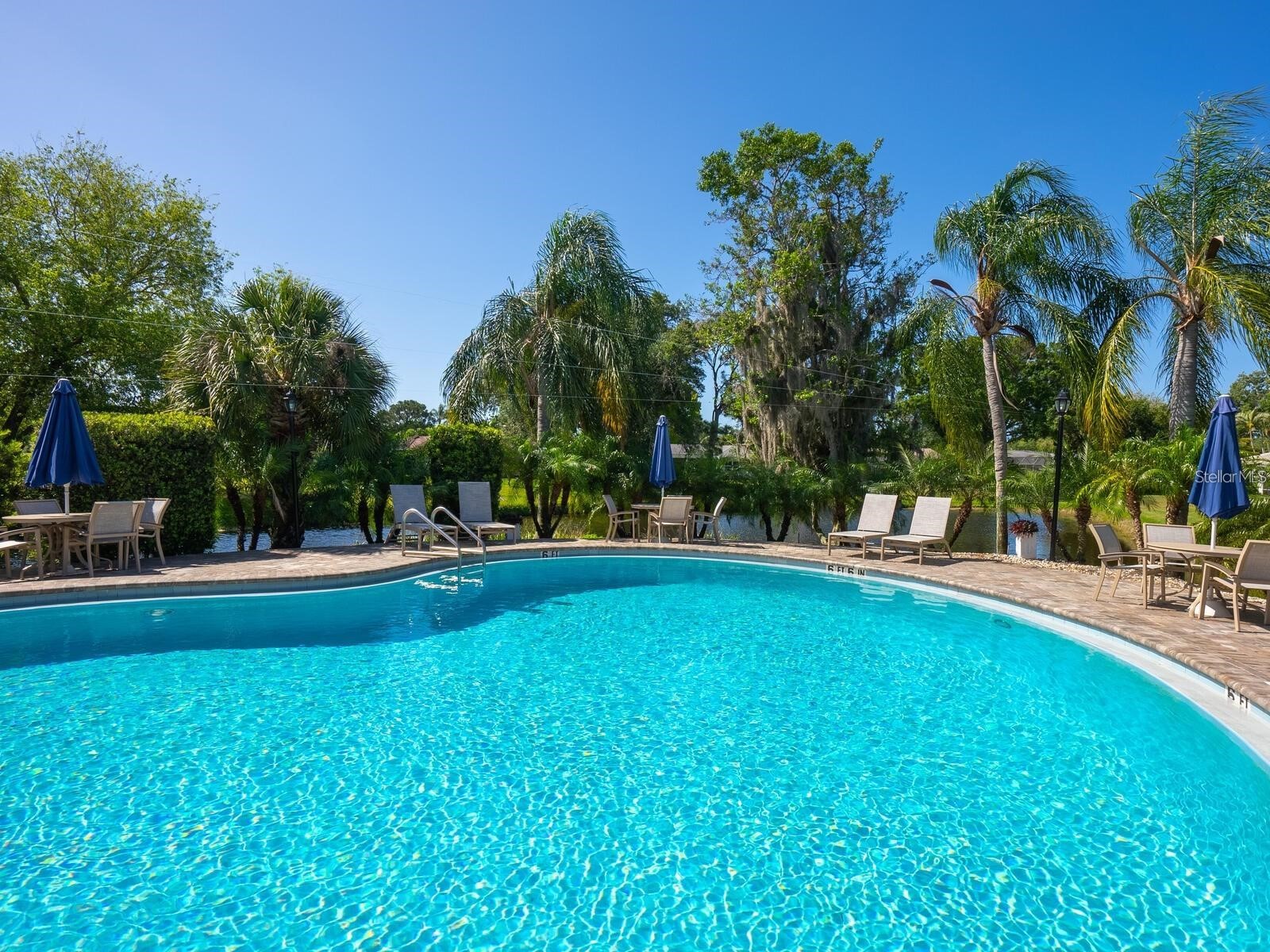 3130 Ringwood Meadow #44 Sarasota FL 34235 A4699130 image37