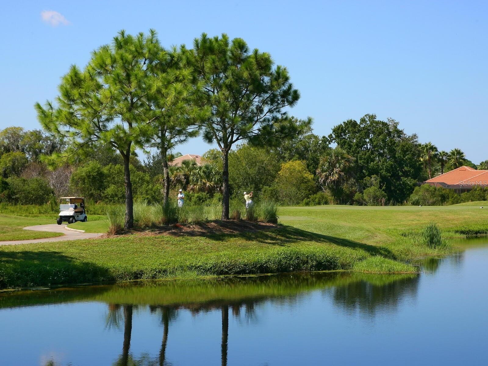 3130 Ringwood Meadow #44 Sarasota FL 34235 A4699130 image54