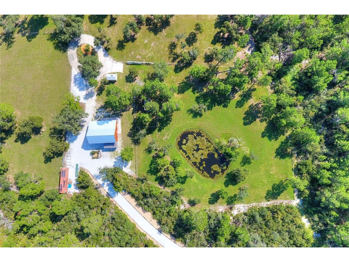 3130 Shipwatch Drive Holiday FL 34691 TB8442547 image6