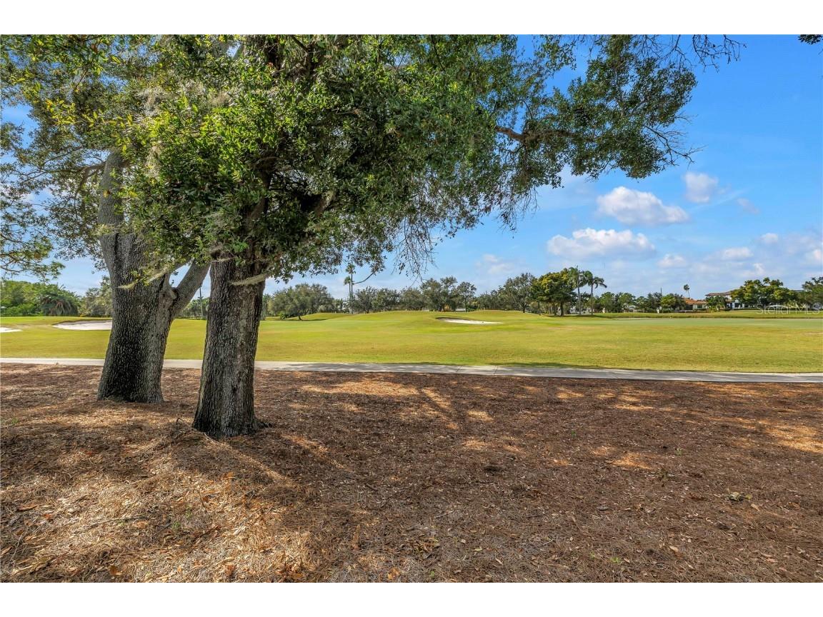 3130 Walnut Street NE Saint Petersburg FL 33704 TB8437708 image86