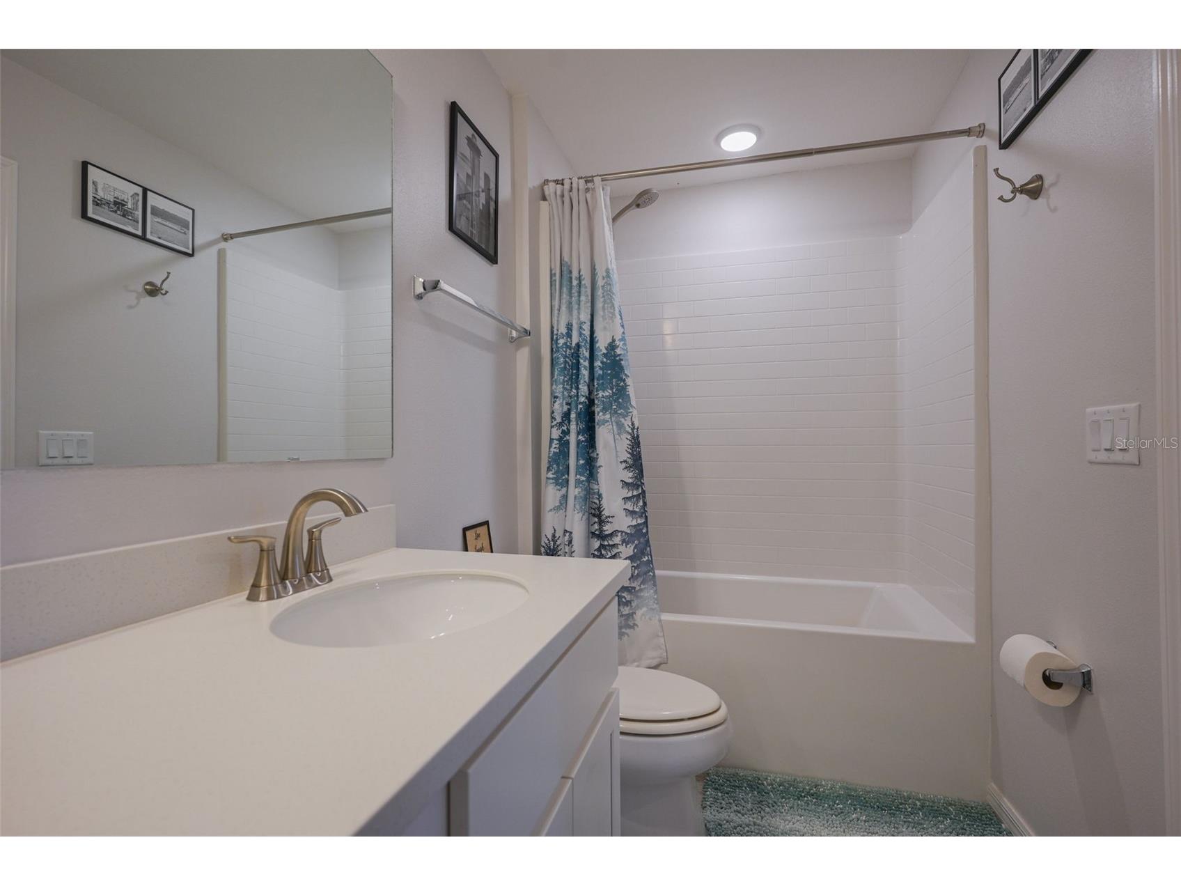 31300 Kale Brooks Court San Antonio FL 33576 TB8487949 image35