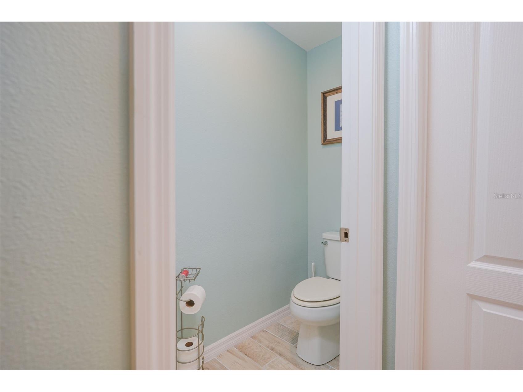 31300 Kale Brooks Court San Antonio FL 33576 TB8487949 image43