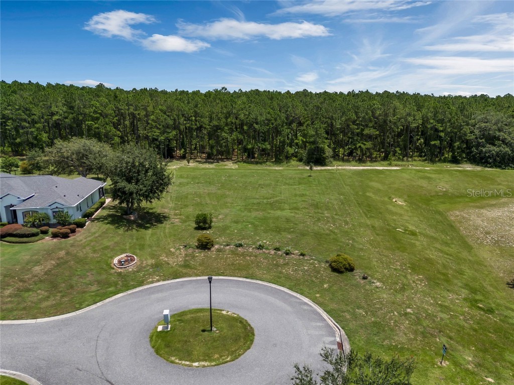 31300 Sunny Meadow Court Leesburg FL 34748 G5084978 image1