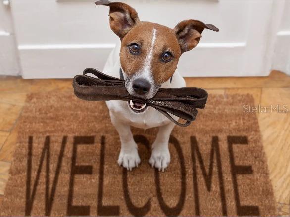 31305 Albarino Drive Brooksville FL 34602 O6371795 image20