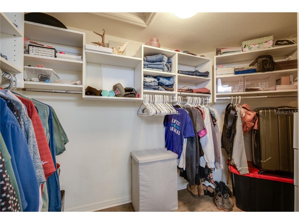 31308 Wrencrest Drive Wesley Chapel FL 33543 TB8425655 image15