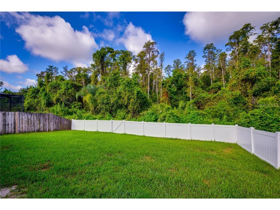 31308 Wrencrest Drive Wesley Chapel FL 33543 TB8425655 image22