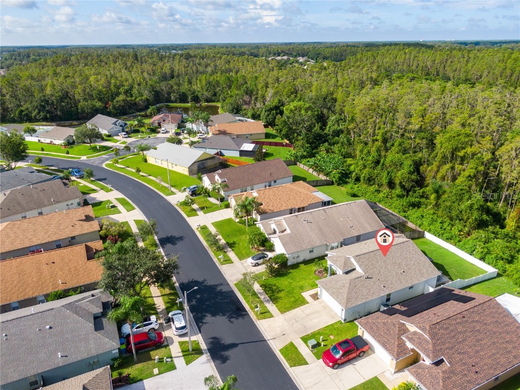 31308 Wrencrest Drive Wesley Chapel FL 33543 TB8425655 image25