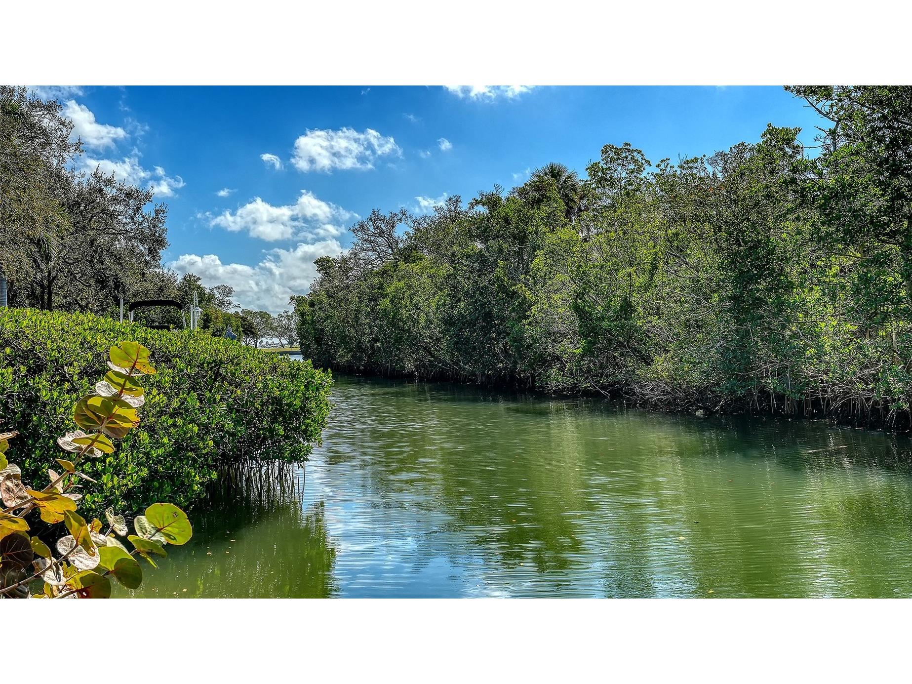3131 Bayou Sound Longboat Key FL 34228 - CRANES BAYOU A4683048 image15