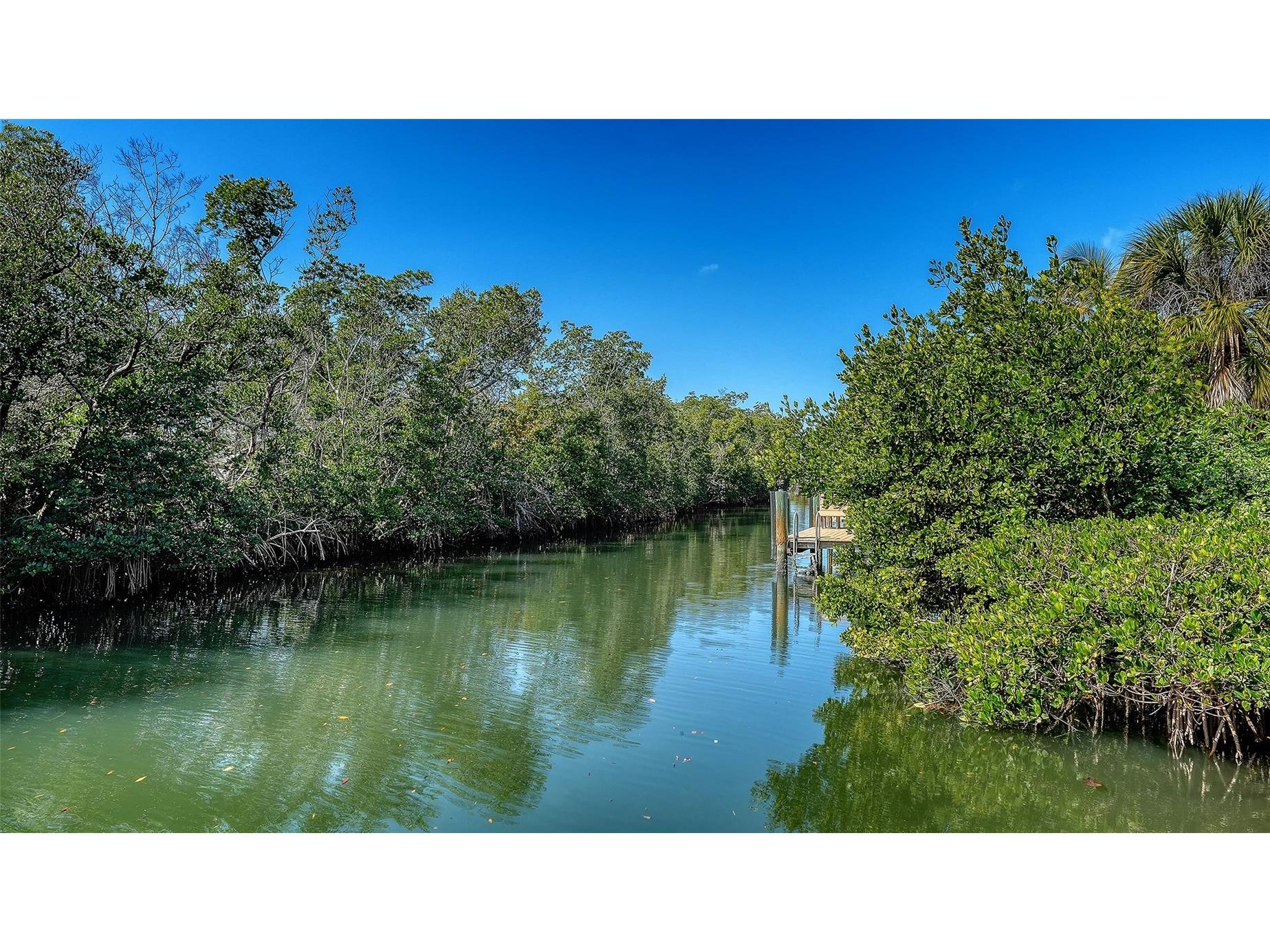 3131 Bayou Sound Longboat Key FL 34228 - CRANES BAYOU A4683048 image16